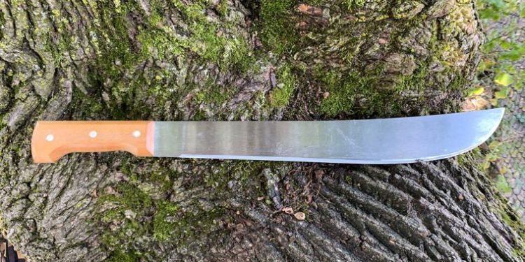 Man Jailed for Wielding Cutlass at a Female