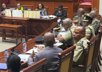 Parliamentary Committee convenes consultation of proposed legislations