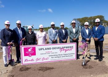 Significant work on new cruise terminal to start next Monday