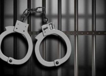 House of Rep. approves measure for hearing remand cases virtually