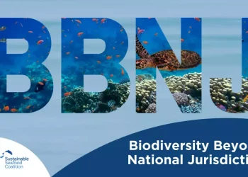 Antigua and Barbuda demonstrates commitment to implementation of High Seas Treaty and protection of ocean resources