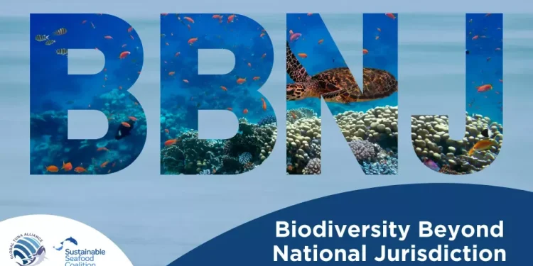 Antigua and Barbuda demonstrates commitment to implementation of High Seas Treaty and protection of ocean resources