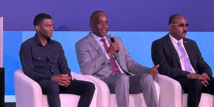 Dominica PM Skerritt wants the private sector, agents to help defend the CBI programmes