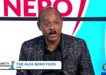 PM Browne: Selling the Alfa Nero was the ‘best option’ available to the government