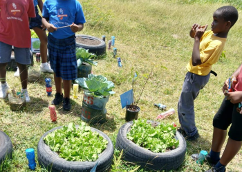 The second instalment of the Inter-school Garden Competition initiative kicks off today
