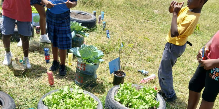 The second instalment of the Inter-school Garden Competition initiative kicks off today