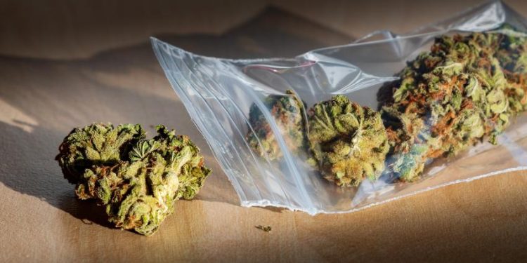 ABDF officer and her brother are making another appearance in court today to face drug charges