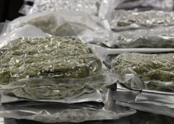 Another drug interception at the St. John’s Harbour