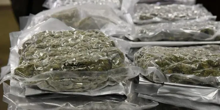 Another drug interception at the St. John’s Harbour