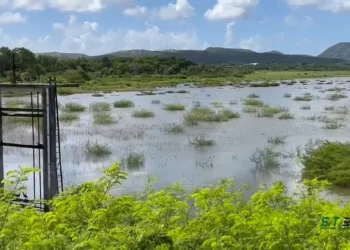 APUA Announces Water Levels at Potworks Reservoir and Increased Supply Measures to Ensure Continued Service