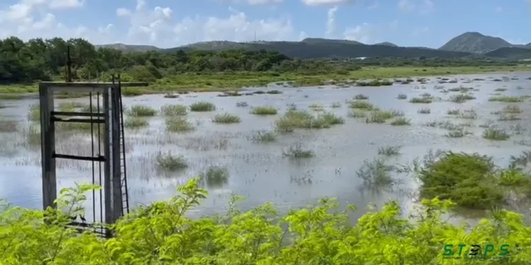 APUA Announces Water Levels at Potworks Reservoir and Increased Supply Measures to Ensure Continued Service