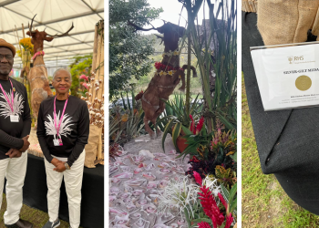Antigua and Barbuda Horticultural Society Wins Silver Medal at RHS Chelsea Flower Show 2025