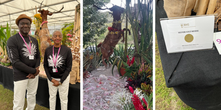 Antigua and Barbuda Horticultural Society Wins Silver Medal at RHS Chelsea Flower Show 2025