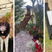 Antigua and Barbuda Horticultural Society Wins Silver Medal at RHS Chelsea Flower Show 2025