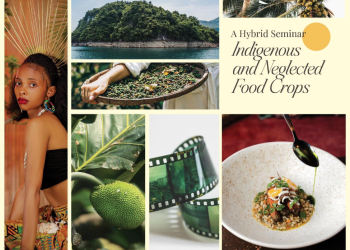 Africa and the Caribbean Unite for Sustainable Tourism: Indigenous Crops Positioned as the Future of Travel