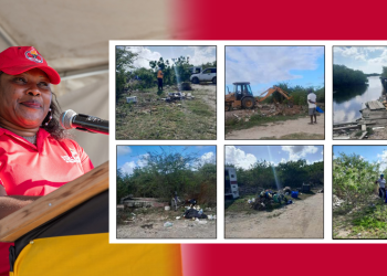 Civic Pride in Action: Ms. Bonita John Leads Community Effort Despite Election Loss