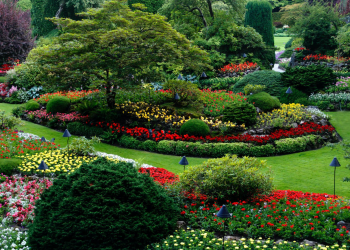 Community Gardens and Beautification Festival 2025, “Think Beautification for the Nation’s Health and Wealth.”