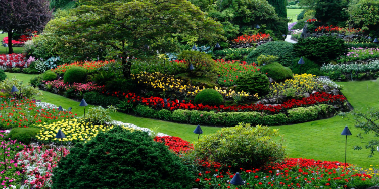 Community Gardens and Beautification Festival 2025, “Think Beautification for the Nation’s Health and Wealth.”
