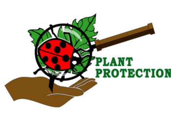 Public Advisory: Disruption of Plant Protection Services Due to Unfavourable Conditions at Headquarters