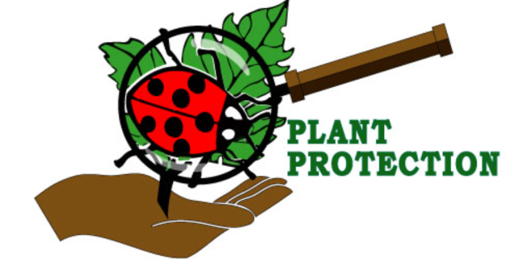 Public Advisory: Disruption of Plant Protection Services Due to Unfavourable Conditions at Headquarters