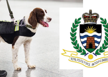 The police to get sniffer dogs