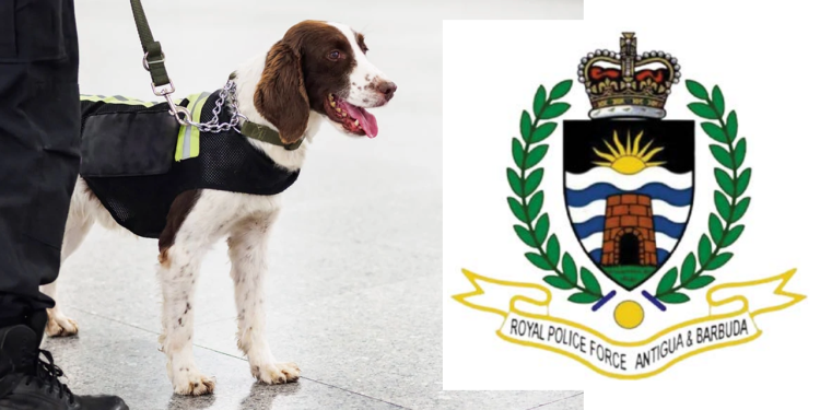 The police to get sniffer dogs