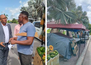 Government wants to regulate vending at the Woods Centre