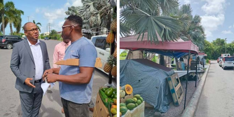 Government wants to regulate vending at the Woods Centre