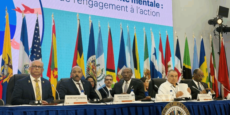 Health Minister Sir Molwyn Joseph chairs OAS ‘side event’ on the issue of mental health