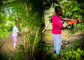 Volunteerism Day 2025: Honouring Our Elders Through Service