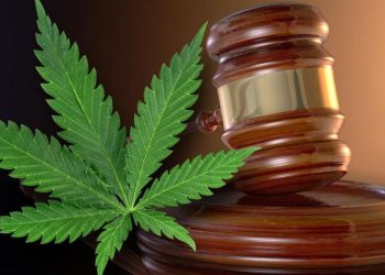 Government plans to enact legislation to expunge criminal records for small amounts of marijuana