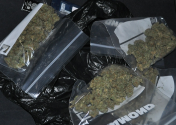 Police and Customs Seize Cannabis at General Post Office