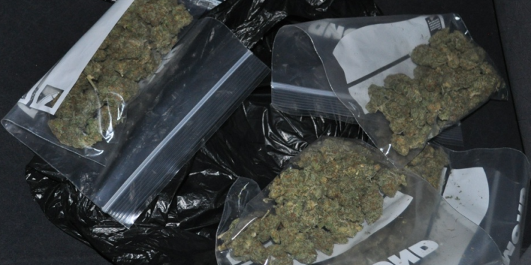 Police and Customs Seize Cannabis at General Post Office