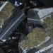 Police and Customs Seize Cannabis at General Post Office