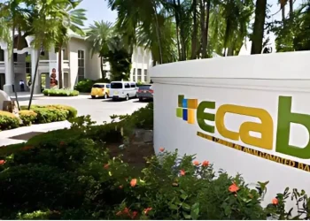 Cabinet voices frustration with ECAB’s ‘delaying tactics’ over shares conversion