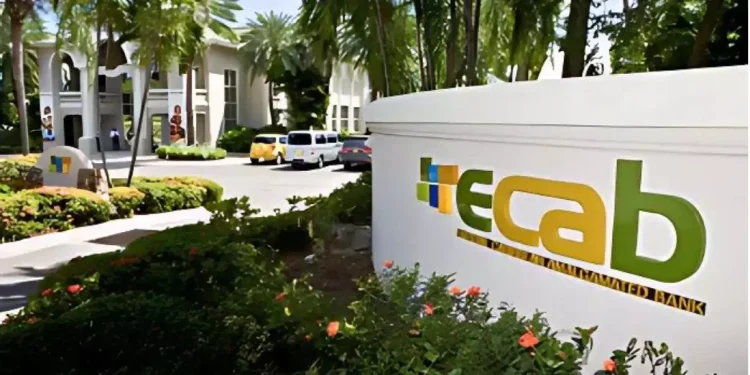 Cabinet voices frustration with ECAB’s ‘delaying tactics’ over shares conversion