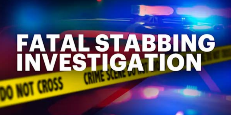 Police Investigate Homicide in Browne’s Avenue