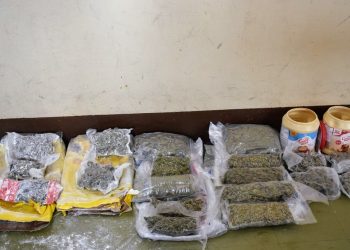 $60,000 worth of cannabis seized at Deep Water Harbour