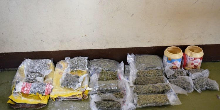 $60,000 worth of cannabis seized at Deep Water Harbour