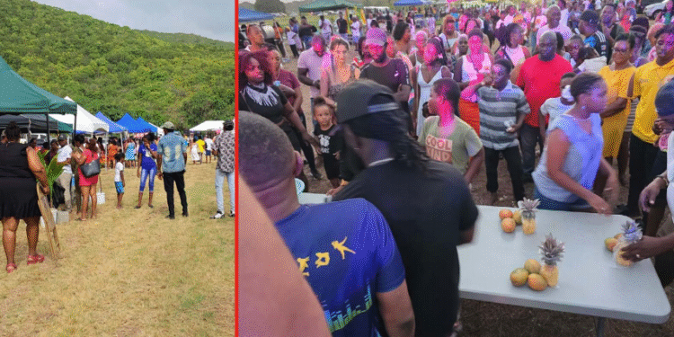 Piango Festival 2025…deemed a successful venture