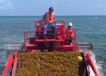 Japan donates harvester for sargassum removal