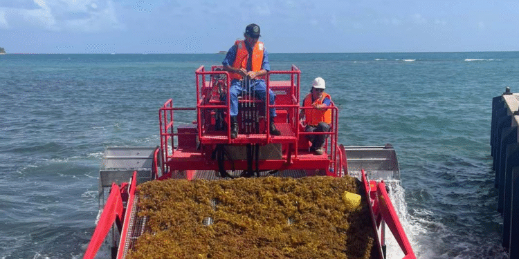 Japan donates harvester for sargassum removal