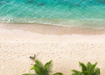 Antigua and Barbuda ClimateTech Start-Up to Present at TechBeach Retreat’s Carbon Shift Demo Day