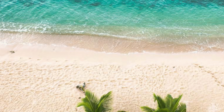 Antigua and Barbuda ClimateTech Start-Up to Present at TechBeach Retreat’s Carbon Shift Demo Day