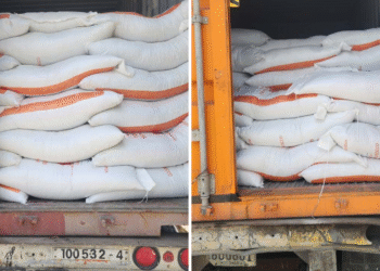 Distribution of fertilisers to farmers starts today