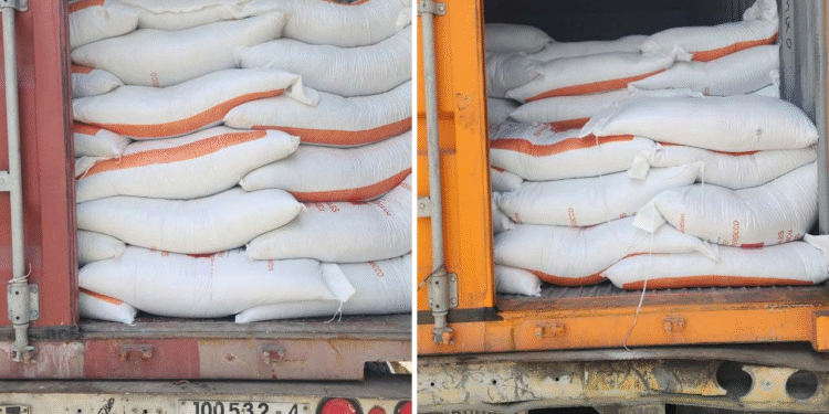 Distribution of fertilisers to farmers starts today