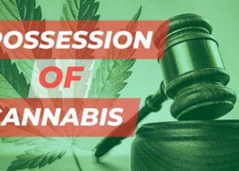 Two males have been remanded in prison after guilty pleas for possession of cannabis