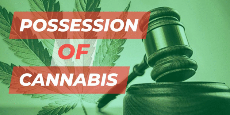 Two males have been remanded in prison after guilty pleas for possession of cannabis