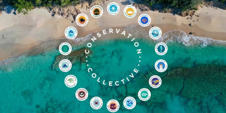 Three local projects to receive ABEF funding