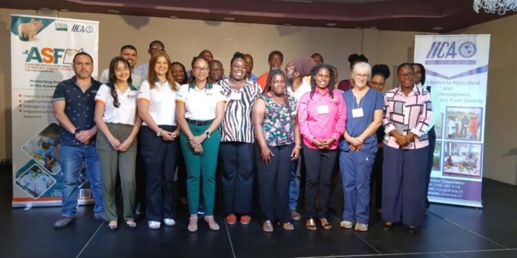 A pilot project to test for African Swine Fever is underway in Antigua and Barbuda